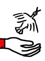 ikonka_unikaln-programma-1