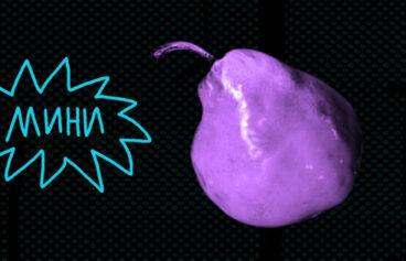 518h317_vitamin_biografiya