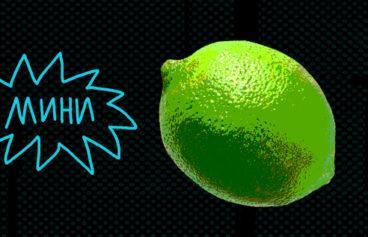 518h317_vitamin_detektiv