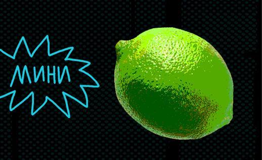 518h317_vitamin_detektiv