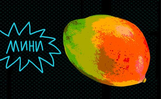 518h317_vitamin_fantastika