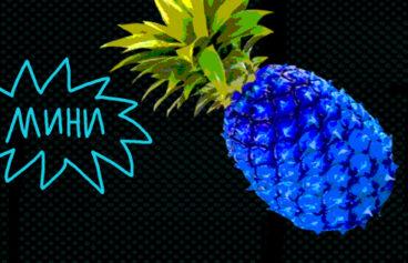 518h317_vitamin_graf_dnevnik