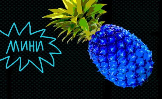 518h317_vitamin_graf_dnevnik