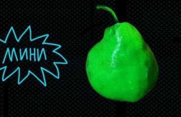 518h317_vitamin_litpremii