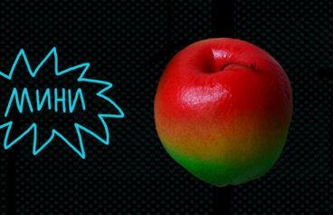 518h317_vitamin_verlibr