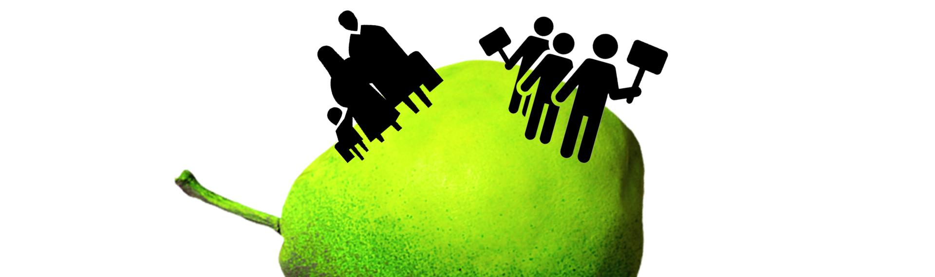 _vitaminy_7_politika