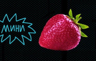 518h317_vitamin_erotika-1-1