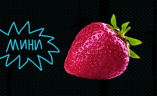 518h317_vitamin_erotika-1-1