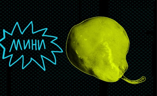 518h317_vitamin_yumor-1-1