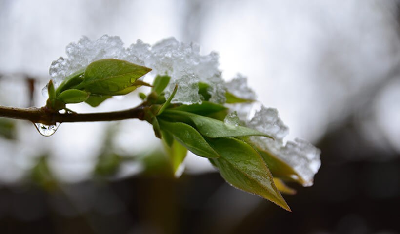 _poster_marafon_820h480-1