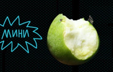 518h317_vitamin_lyubov-1